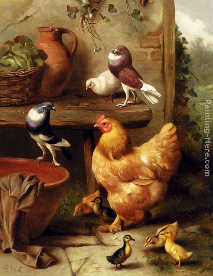 A Chicken, Doves, Pigeons And Ducklings painting - Edgar Hunt A Chicken, Doves, Pigeons And Ducklings art painting